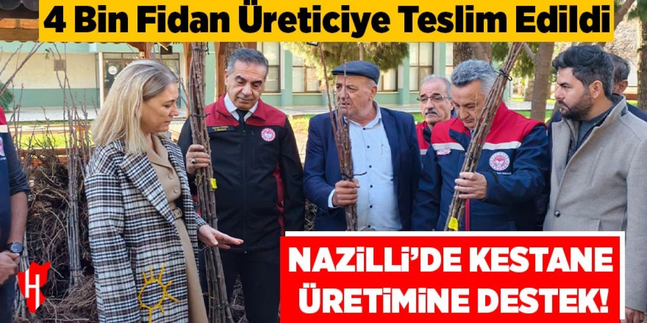Nazilli’de kestane üretimine destek: 4 bin fidan üreticiye teslim edildi