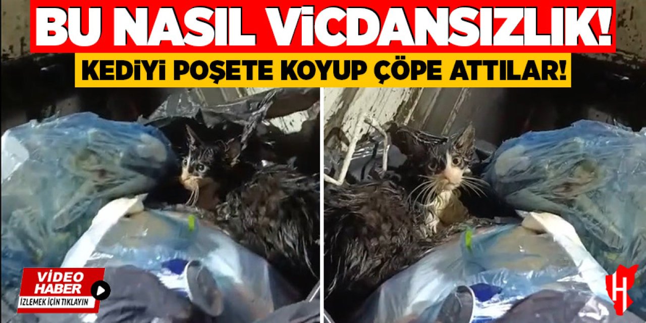 Bu nasıl vicdansızlık: Kediyi poşete koyup çöpe attılar