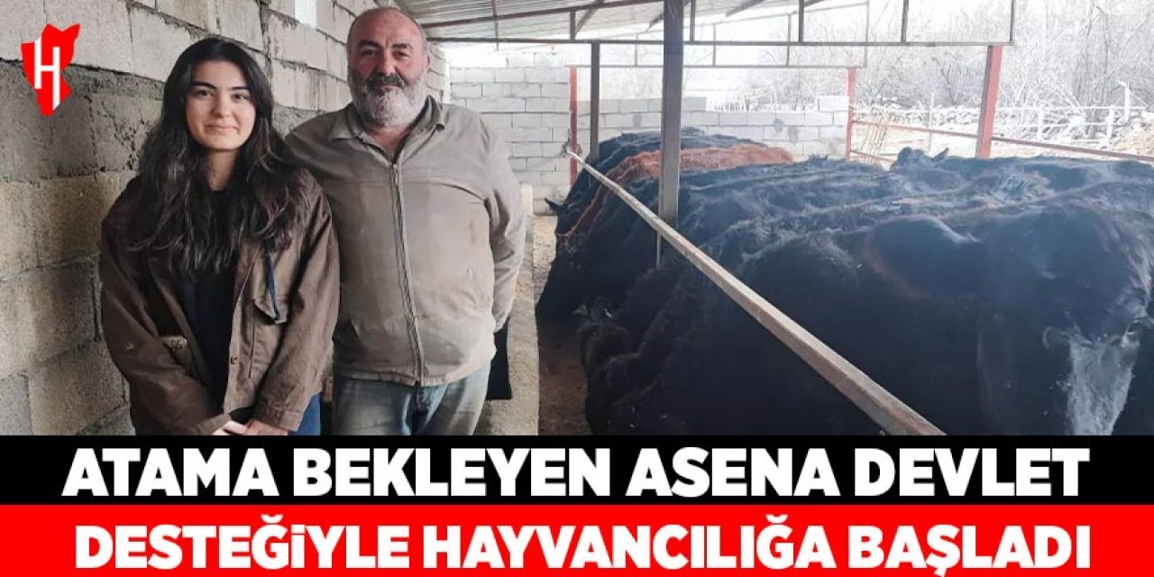 Atama bekleyen Asena, devlet desteğiyle hayvancılığa başladı