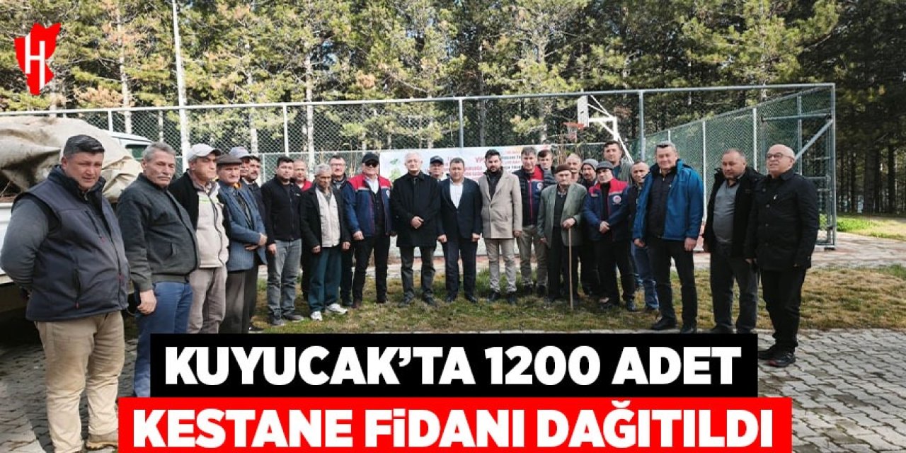 Kuyucak’ta 1200 adet kestane fidanı dağıtıldı
