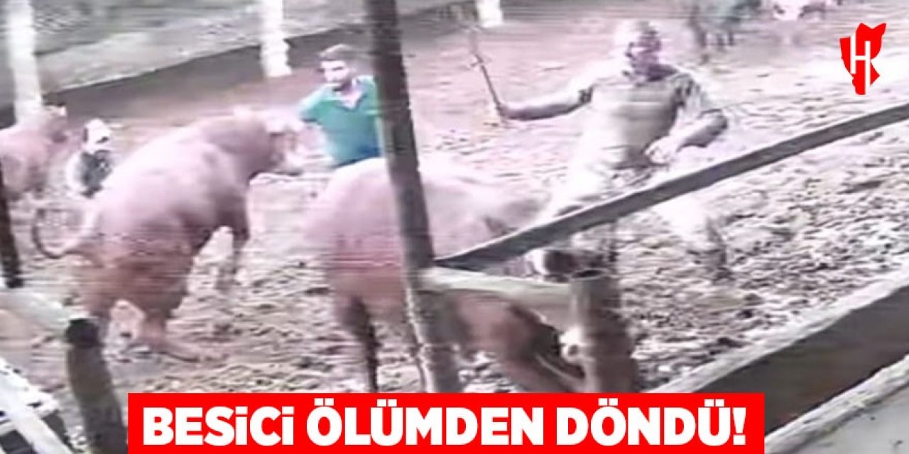 Besici ölümden döndü