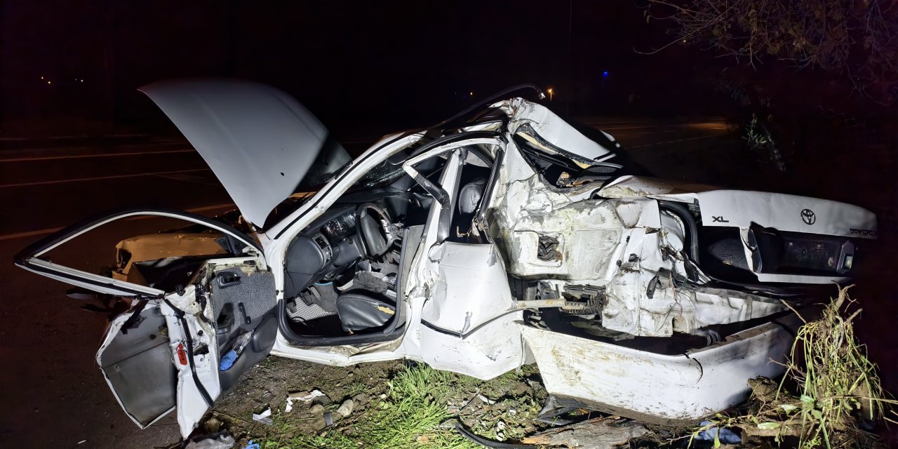 Nazilli’de ağaca çarpan otomobilin sürücüsü ağır yaralandı