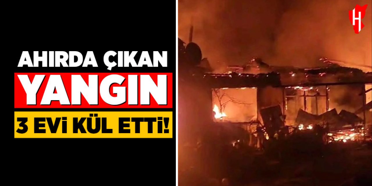 Ahırda çıkan yangında 3 ev küle döndü