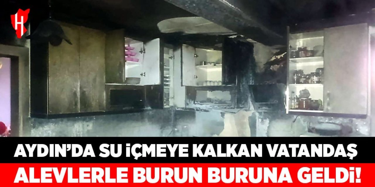 Aydın'da su içmeye kalktı, alevlerle burun buruna geldi