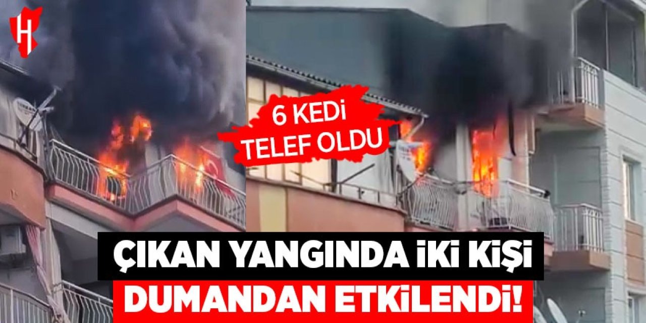 Çıkan yangında 2 kişi dumandan etkilendi, 6 kedi telef oldu