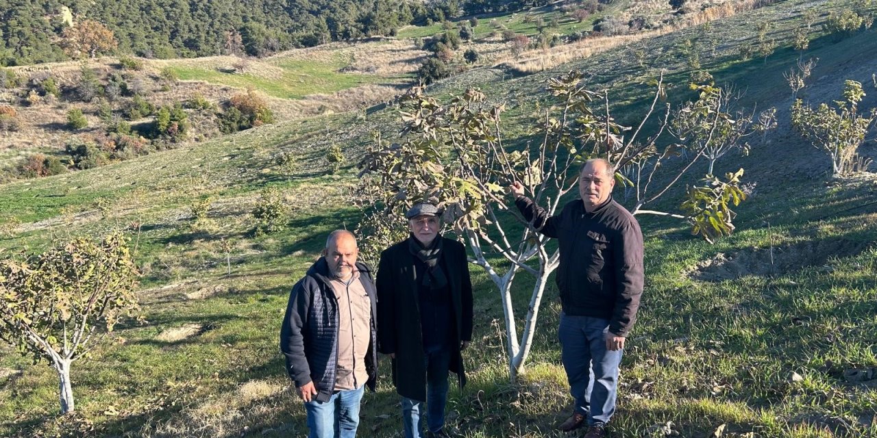 TBMM eski İdare Amiri Uzunırmak, yılların yorgunluğunu tarımla atıyor