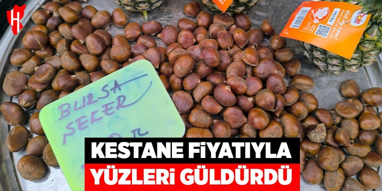 Kestane fiyatıyla yüzleri güldürdü