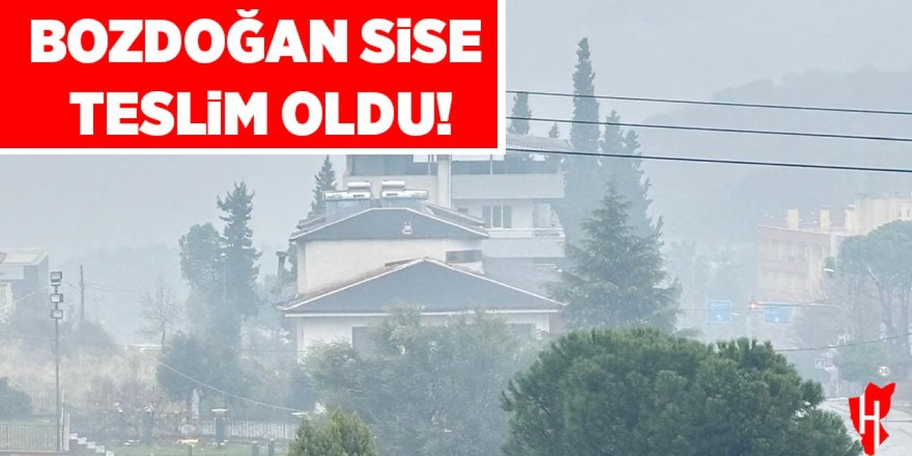 Bozdoğan sise teslim oldu