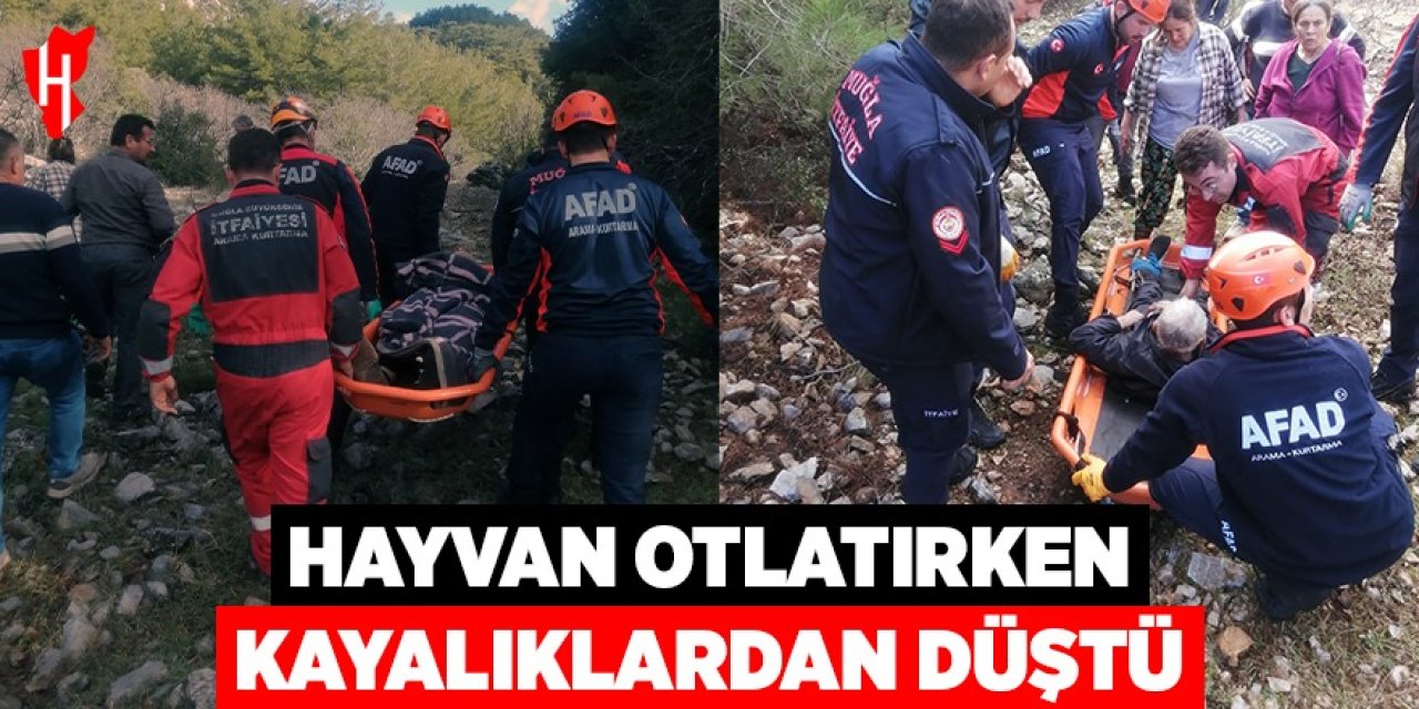Hayvan otlatırken kayalıklardan düştü