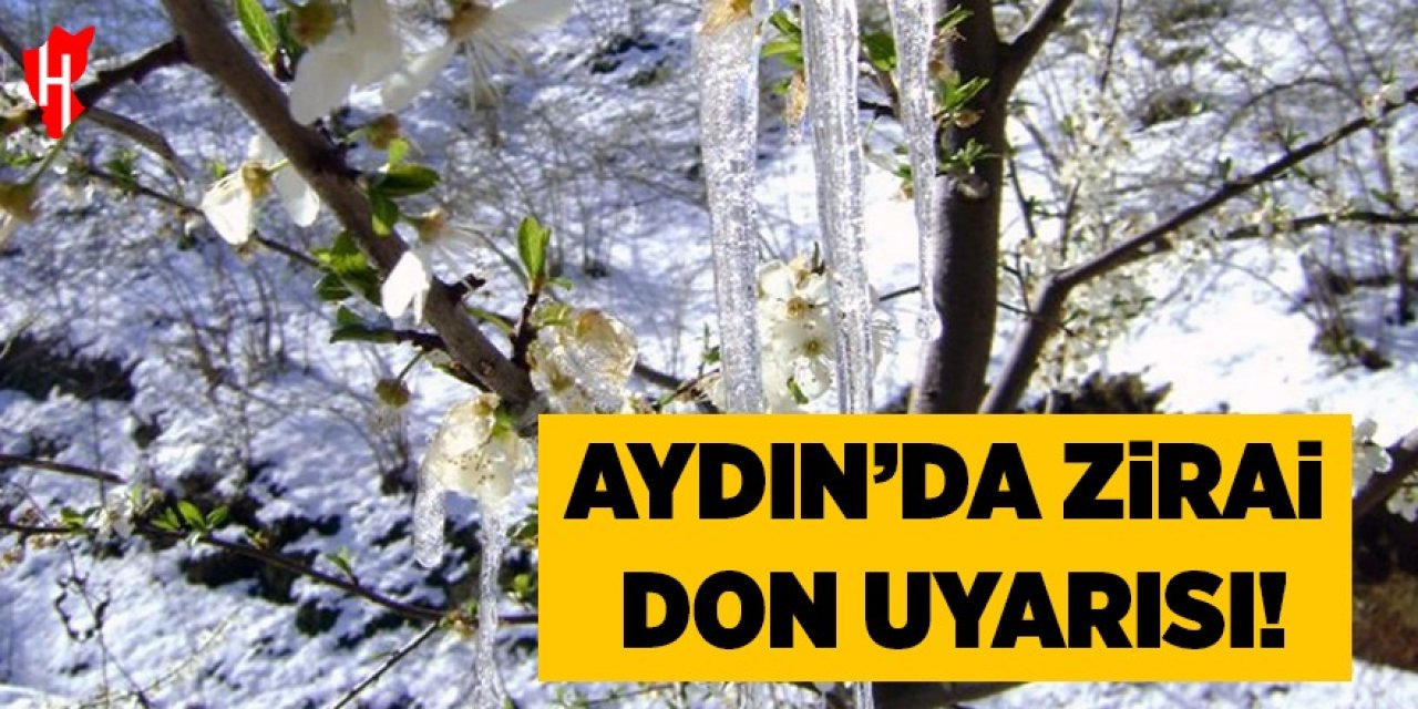 Aydın'da zirai don alarmı