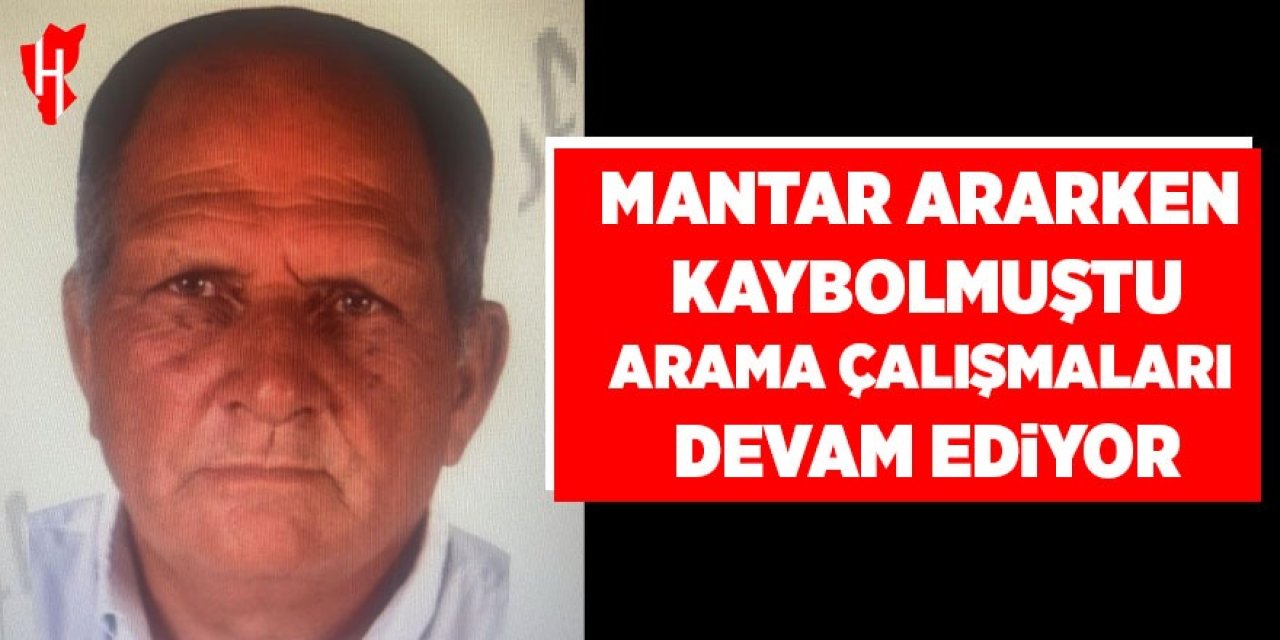 Mantar ararken kaybolmuştu: Arama çalışmaları sürüyor