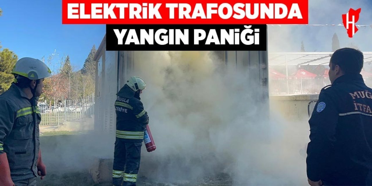 Elektrik trafosunda yangın paniği