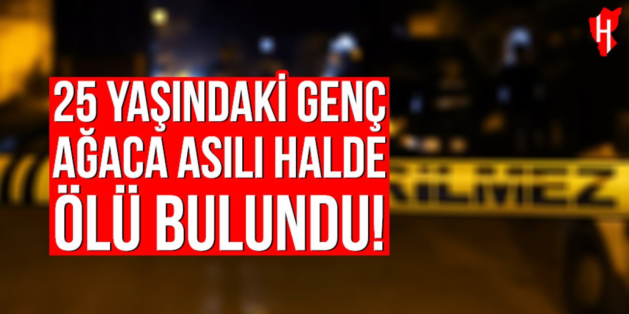 25 yaşındaki genç ağaca asılı halde ölü bulundu
