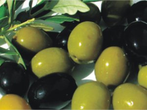 Zeytin ve Zeytinyağı 'Kamu Spotu'yla tanıtılacak