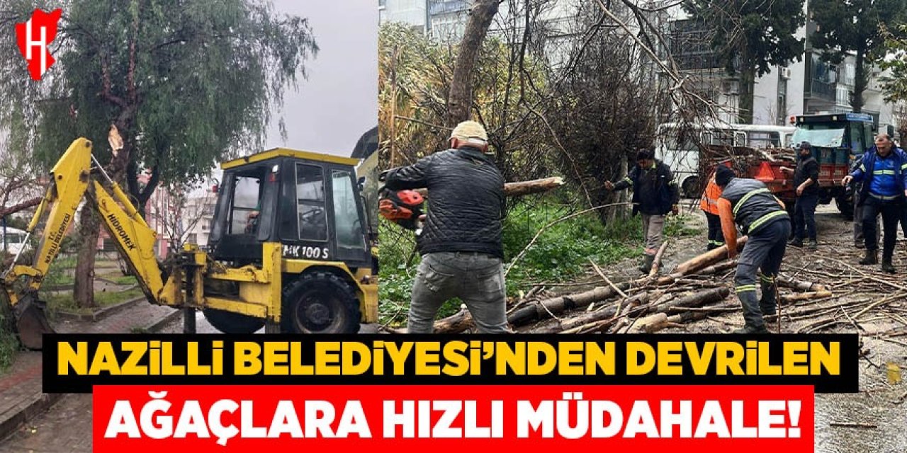 Nazilli Belediyesi’nden devrilen ağaçlara hızlı müdahale