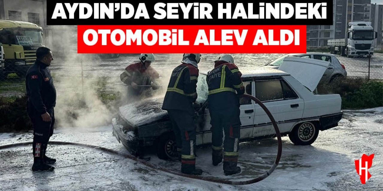 Aydın'da otomobil alevlere teslim oldu