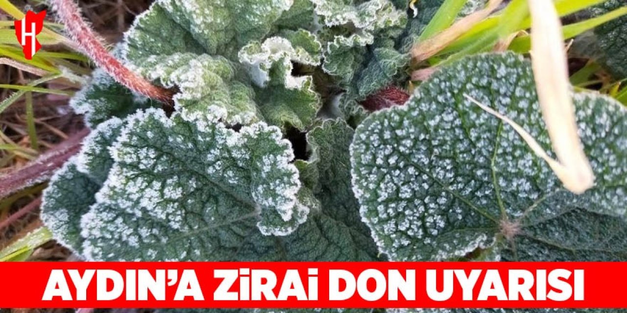 Aydın’a zirai don uyarısı