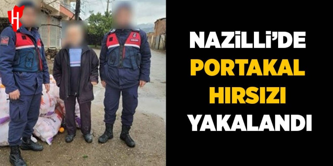 Nazilli’de portakal hırsızı yakalandı