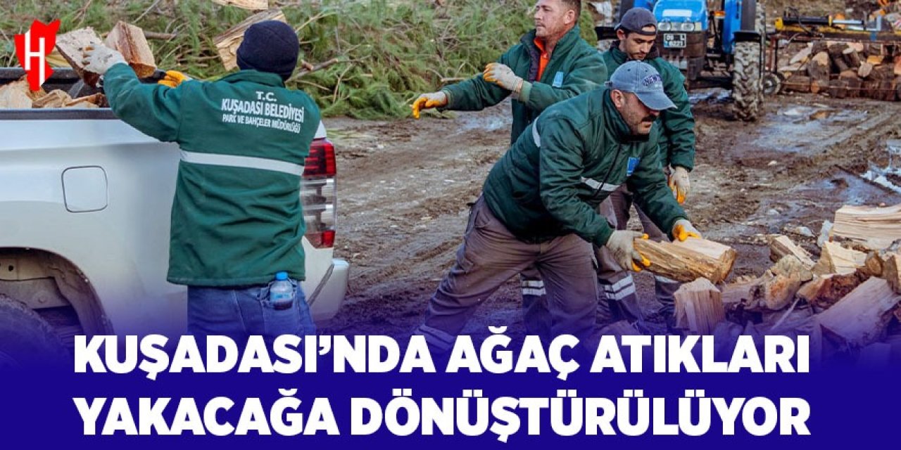 Kuşadası'nda ağaç atıkları ihtiyaç sahipleri için yakacağa dönüşüyor