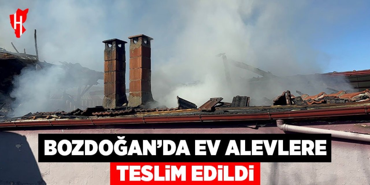 Bozdoğan'da ev alevlere teslim oldu
