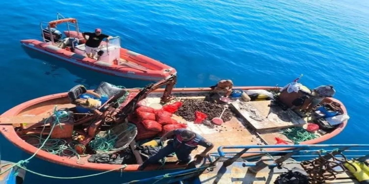 Aydın'da yasa dışı avcılığa geçit verilmiyor: "Bir yılda 5 bin denetim yapıldı"