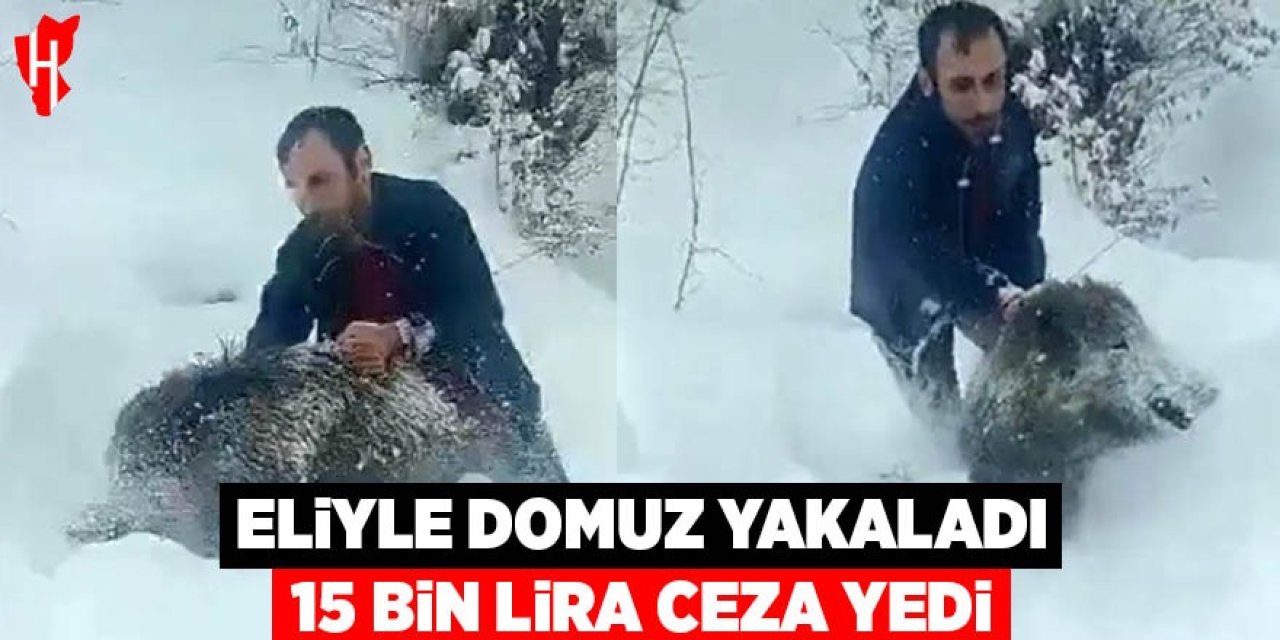 Eliyle domuz yakaladı 15 bin lira ceza yedi