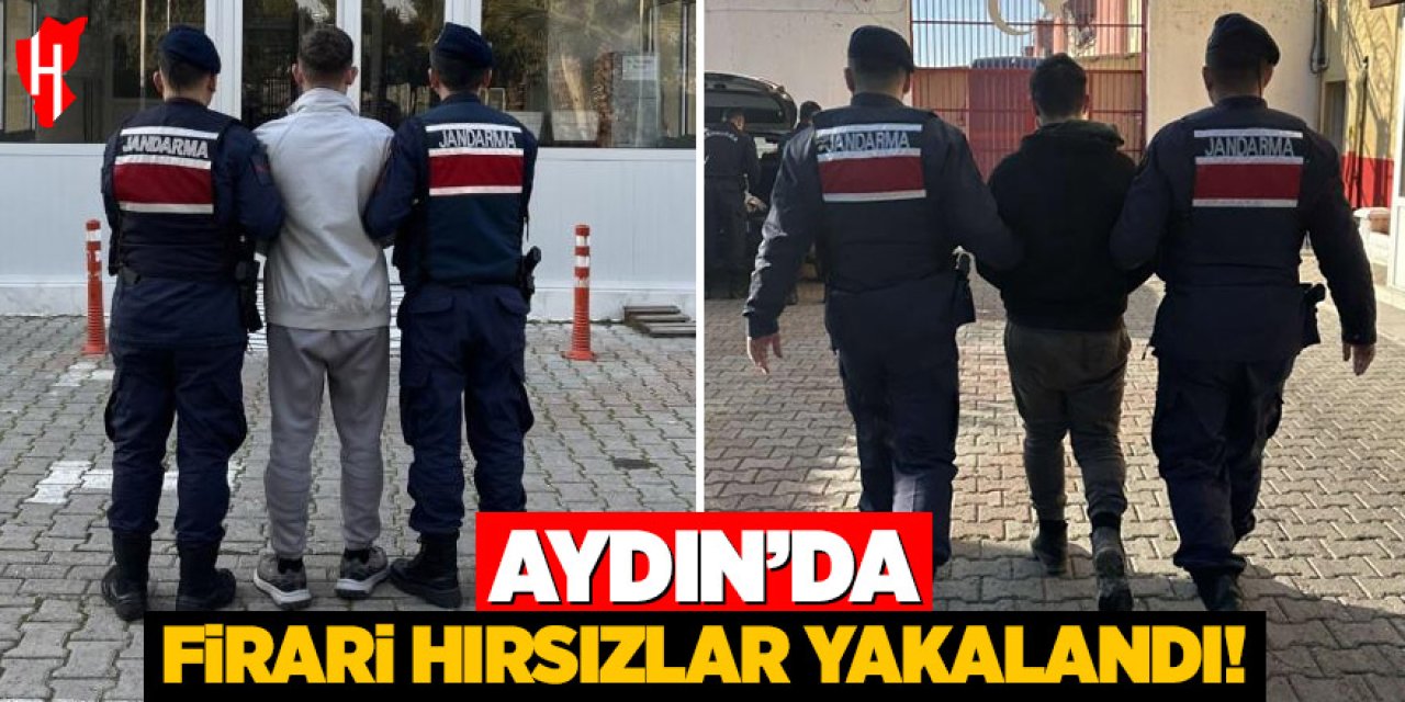 Aydın'da aranan şahıslar jandarmadan kaçamadı