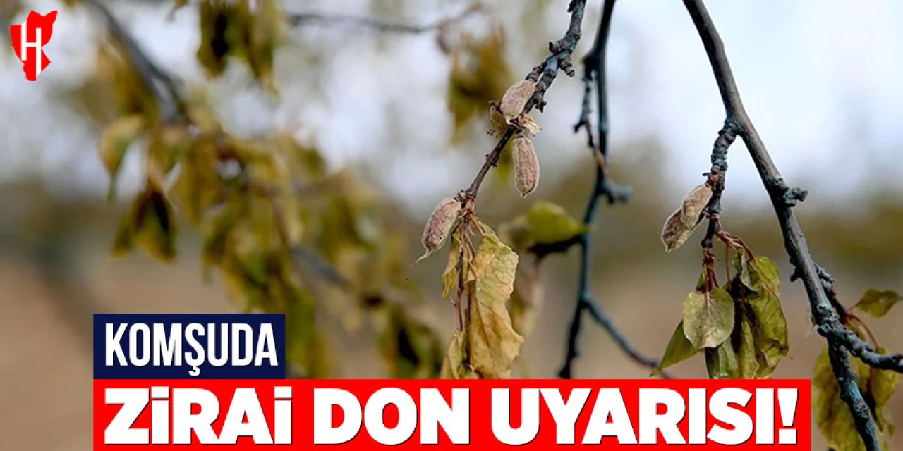 Komşuda zirai don uyarısı: Dondurucu soğuklar geliyor
