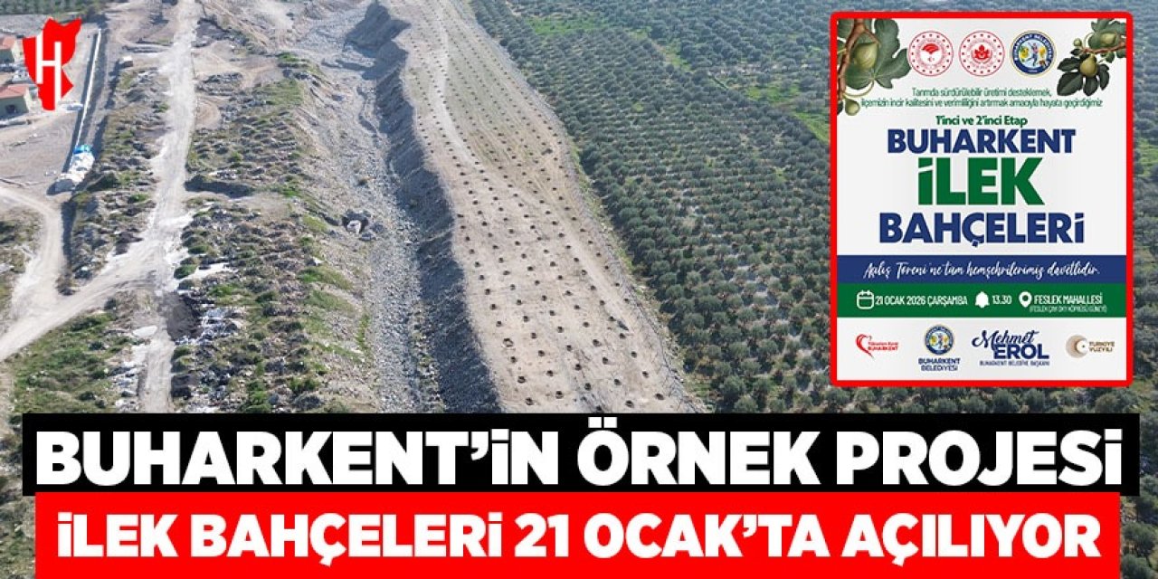 İncirde verim ve kalite için Buharkent’te örnek proje