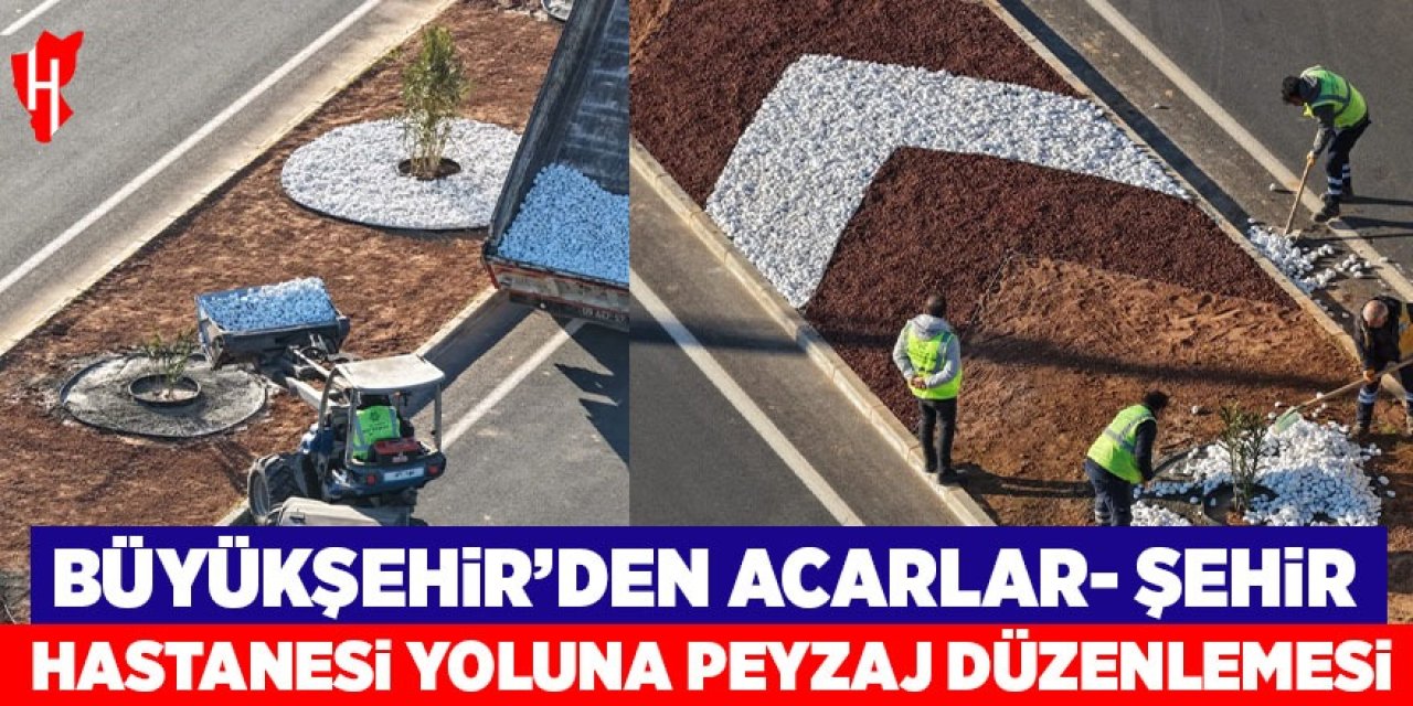 Aydın Büyükşehir Belediyesi'nden Acarlar-Şehir Hastanesi yolunda peyzaj düzenlemesi