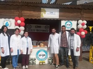 Çine MYO, Zeytin ve Zeytinyağı Hasat Şenliği'ne Katıldı