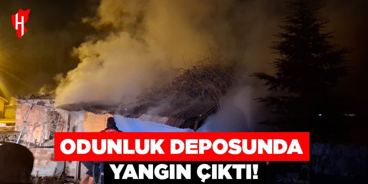 Odunluk deposunda yangın çıktı