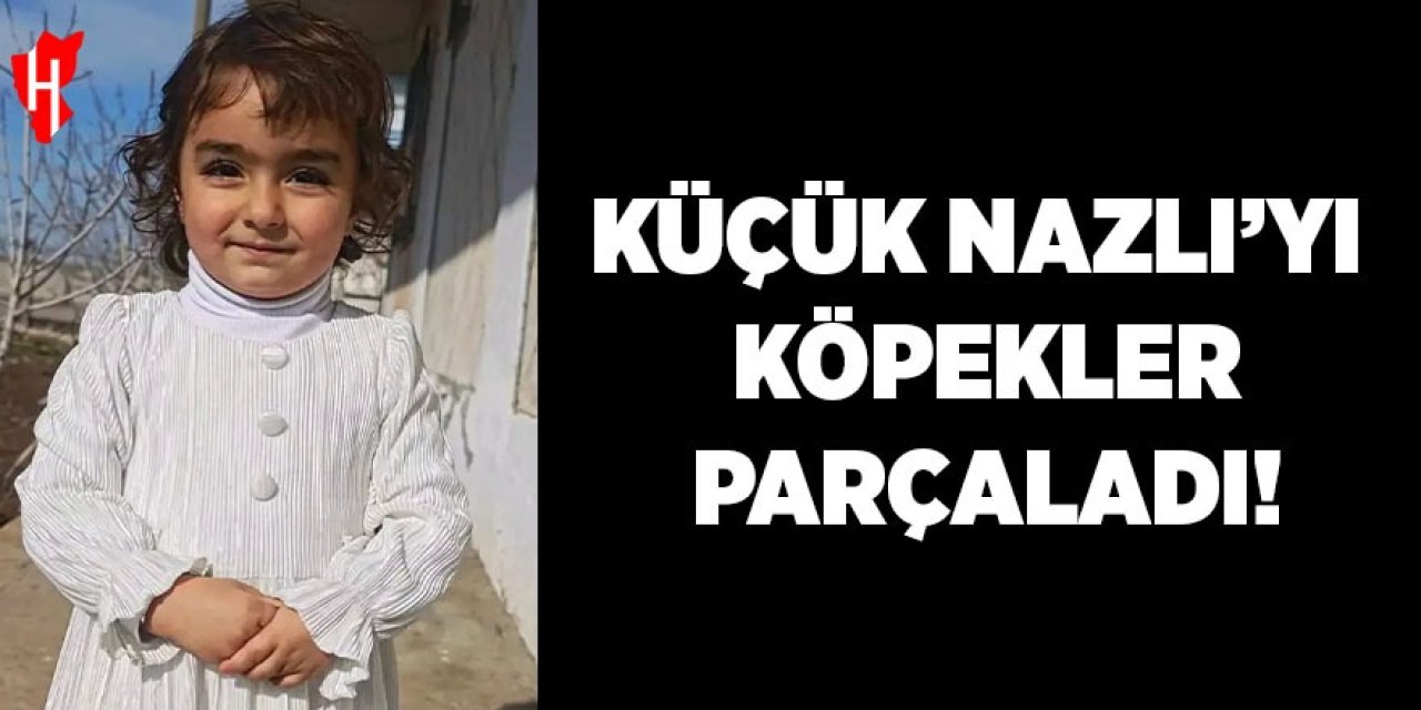 Küçük Nazlı'yı köpekler parçaladı