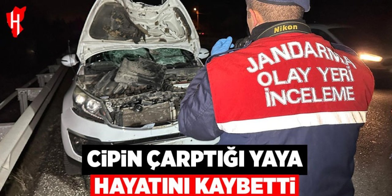 Cipin çarptığı yaya hayatını kaybetti