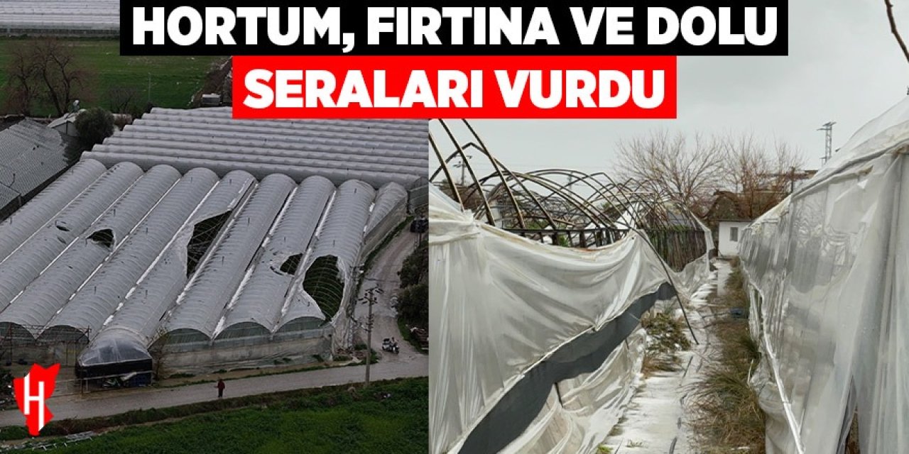 Hortum, fırtına ve dolu seraları vurdu