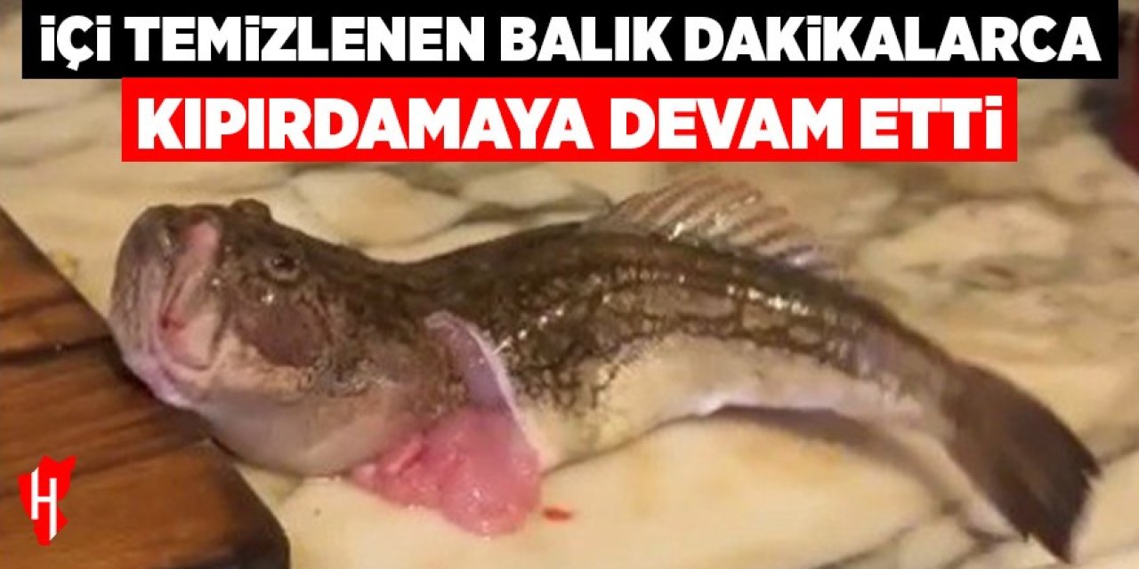 İçi temizlenen balık dakikalarca çırpınmaya devam etti