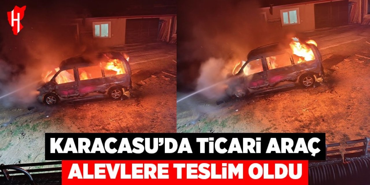 Karacasu'da ticari araç alevlere teslim oldu