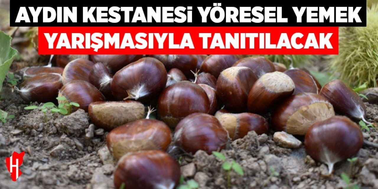 Aydın kestanesi yöresel yemek yarışmasıyla tanıtılacak
