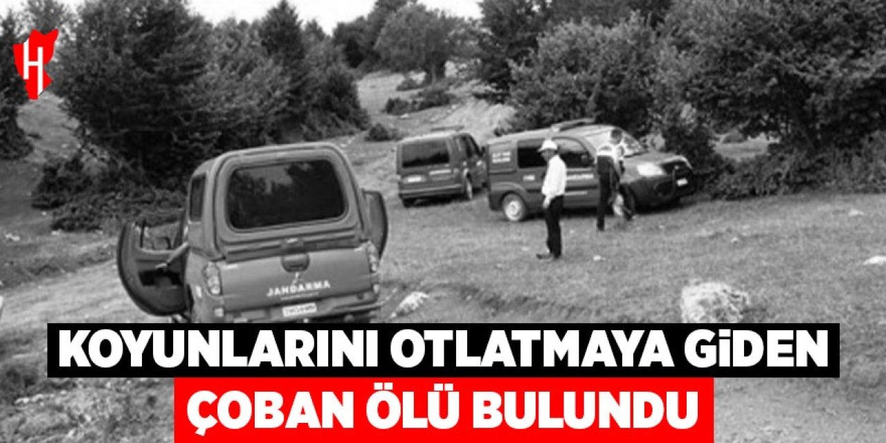 Koyunlarını otlatmaya giden çoban ölü bulundu