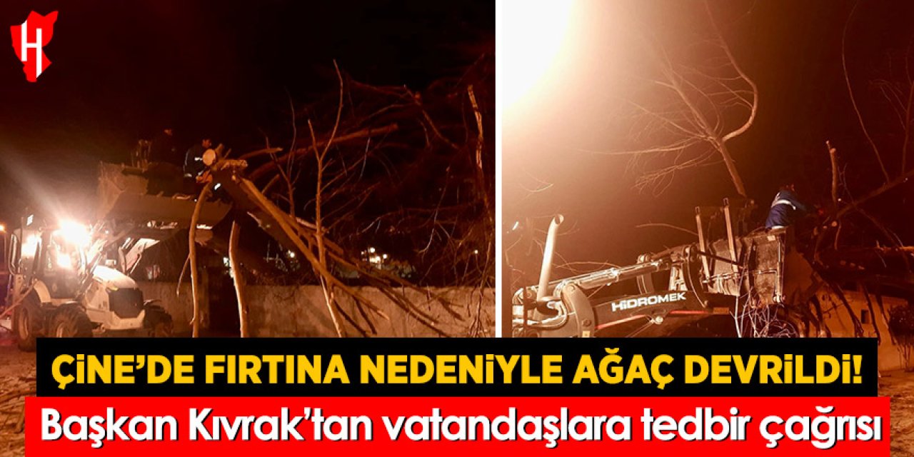 Çine’de fırtına nedeniyle ağaç devrildi! Başkan Kıvrak’tan vatandaşlara tedbir çağrısı