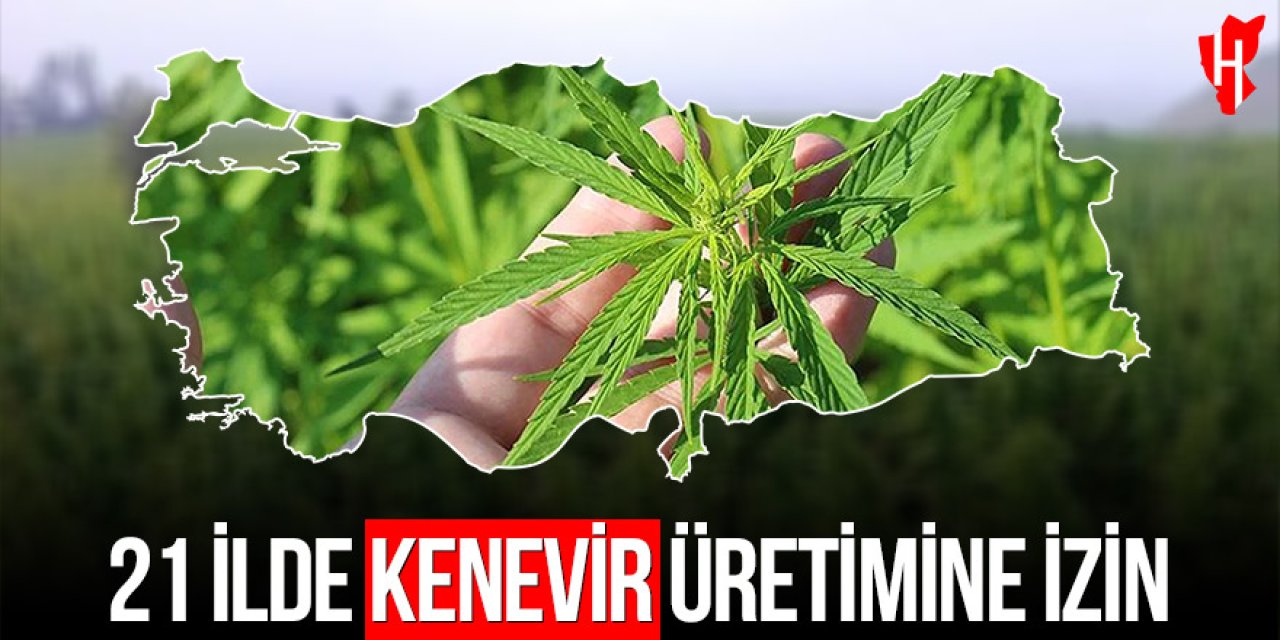 21 ilde kenevir üretimine yasal izin