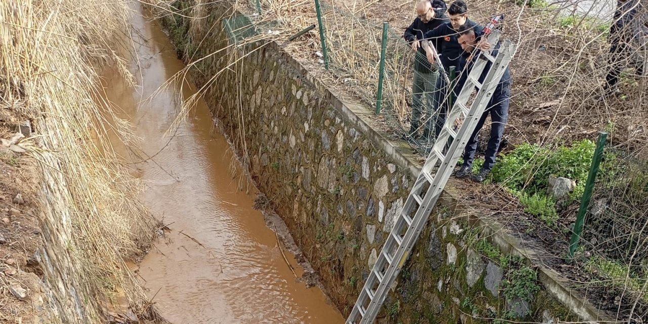 Kanala düşen köpeği itfaiye kurtardı
