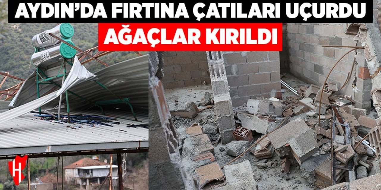 Aydın'da fırtına çatılar uçurdu, ağaçların dalları kırıldı