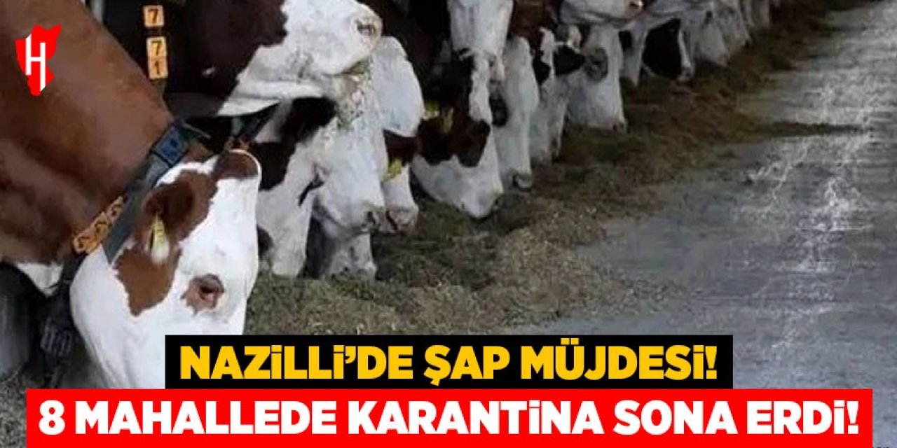 Nazilli'de şap müjdesi: 8 mahallede karantina sona erdi