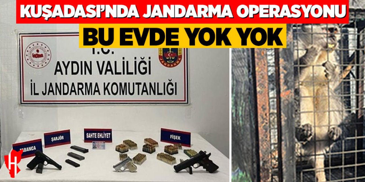 Kuşadası'nda jandarma operasyonu: Bu evde yok yok! Ruhsatsız silah, sahte belge ve maymun