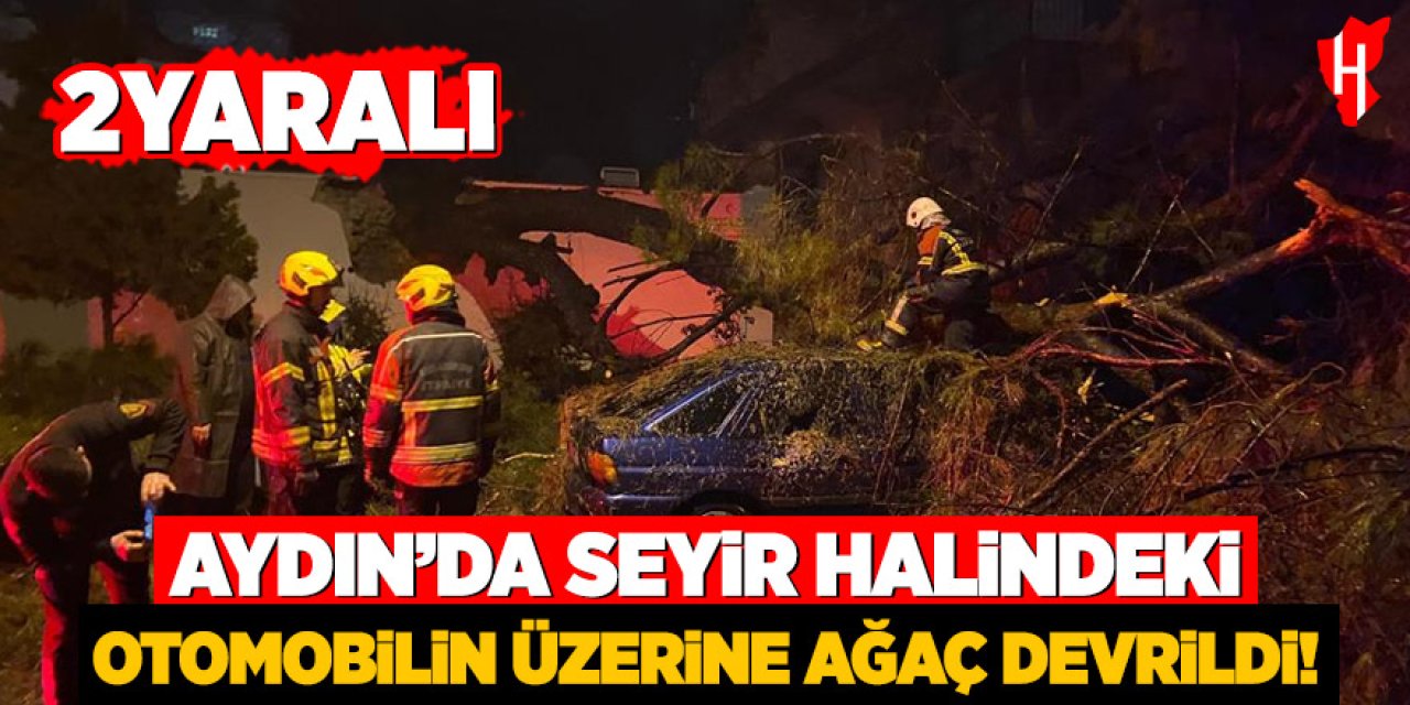 Aydın'da seyir halindeki otomobilin üzerine ağaç devrildi: 2 yaralı