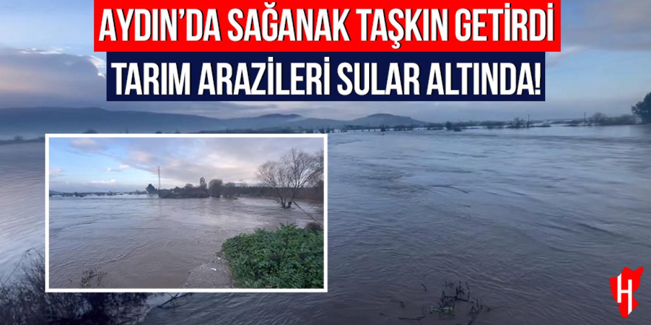 Aydın'da sağanak taşkın getirdi: Tarım arazileri sular altında kaldı