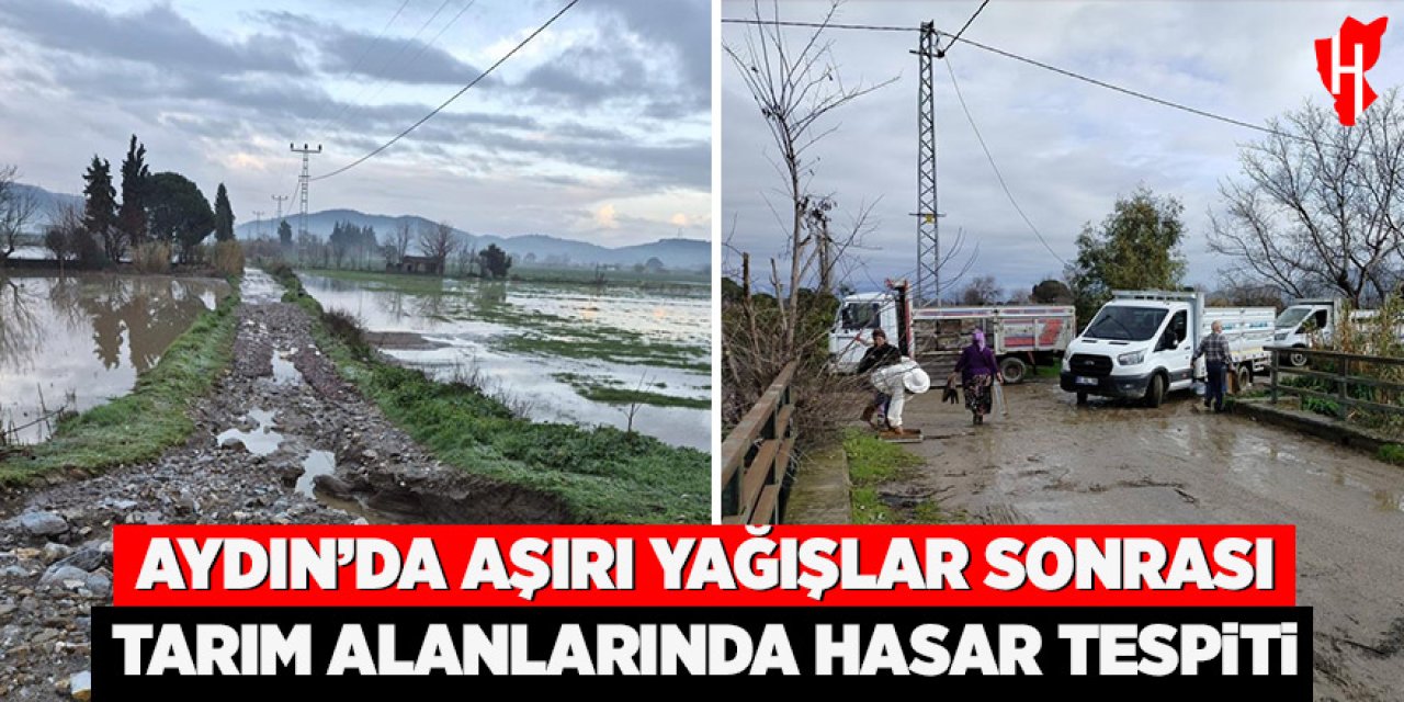 Aydın'da aşırı yağışlar sonrası hasar tespiti başladı