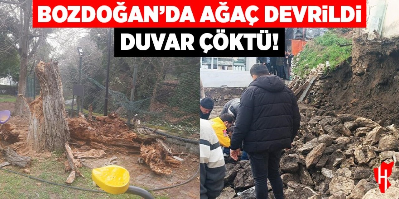 Bozdoğan’da ağaç devrildi, duvar çöktü: 2 yaralı