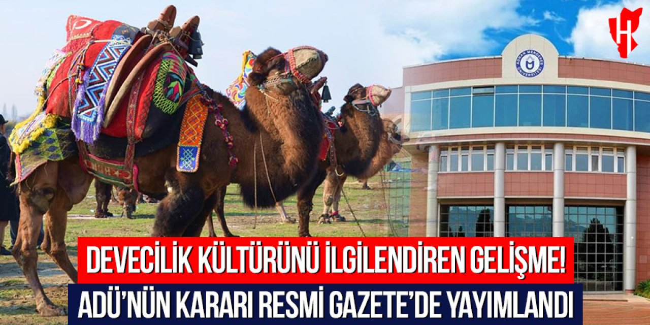 Devecilik kültürünü ilgilendiren gelişme! ADÜ’nün kararı Resmi Gazete’de yayımlandı